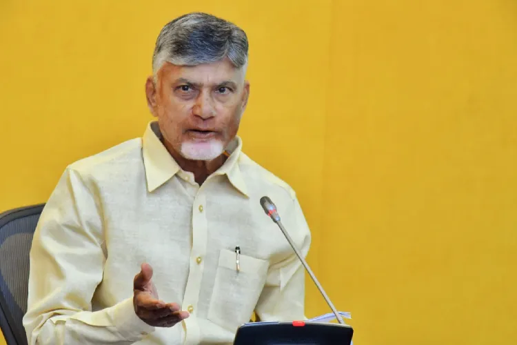 Andhra Pradesh Chief Minister N Chandrababu Naidu