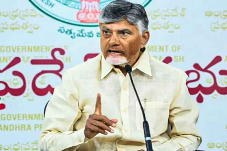 Andhra Pradesh Chief Minister N Chandrababu Naidu