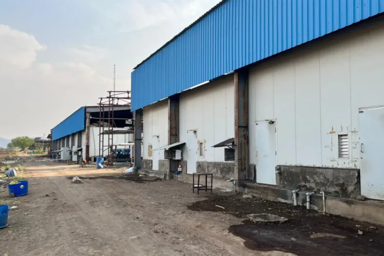 Visual of the Pune Mushroom Unit 