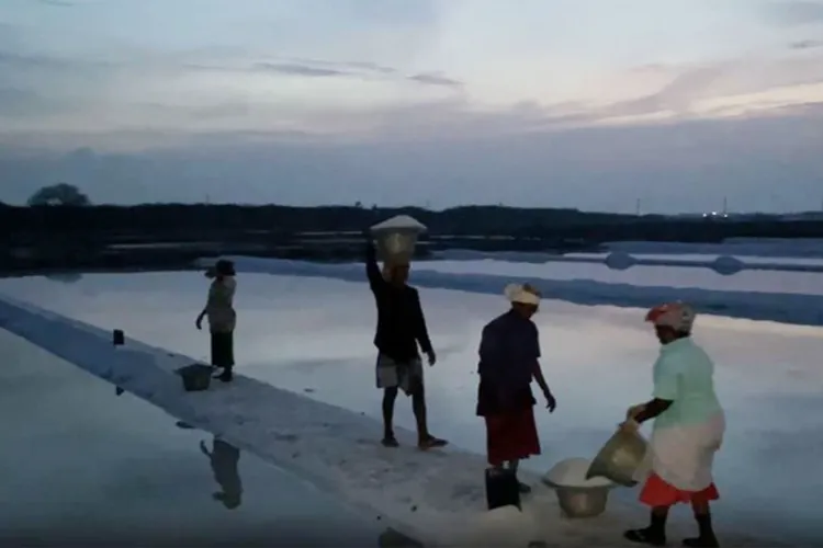 Salt pan workers working at 1 am 