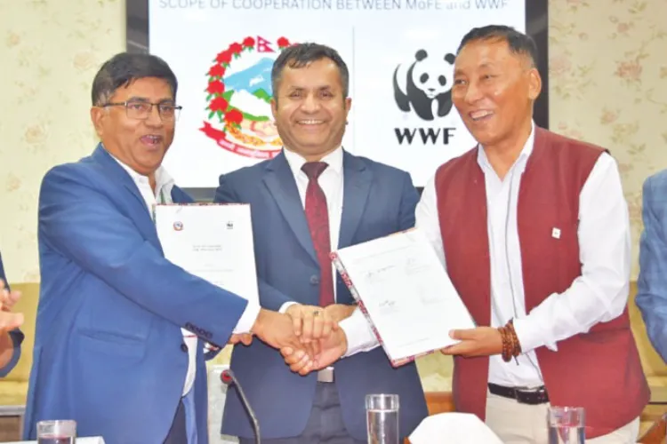 Representational Image