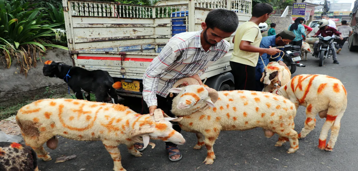 A trader selling sheep for sacrifice on Eid in Delhi (file)