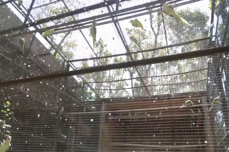 Visual of the Dehradun Zoo