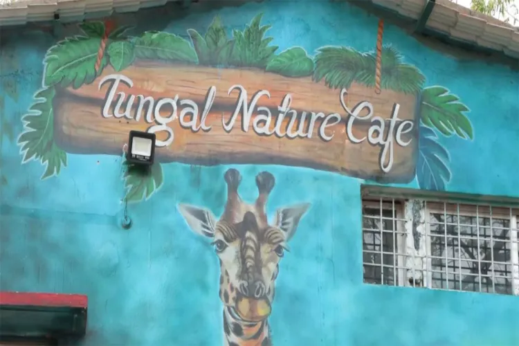 Former women Naxals find new beginning at Sukma’s Tungal Natures Cafe