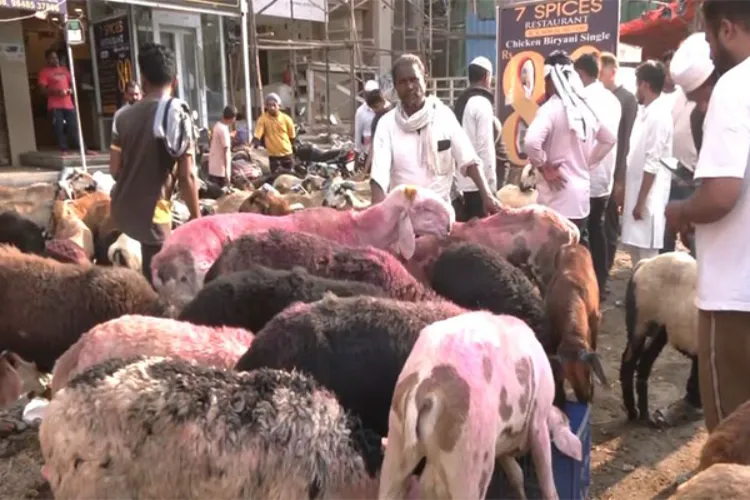 Representational Image