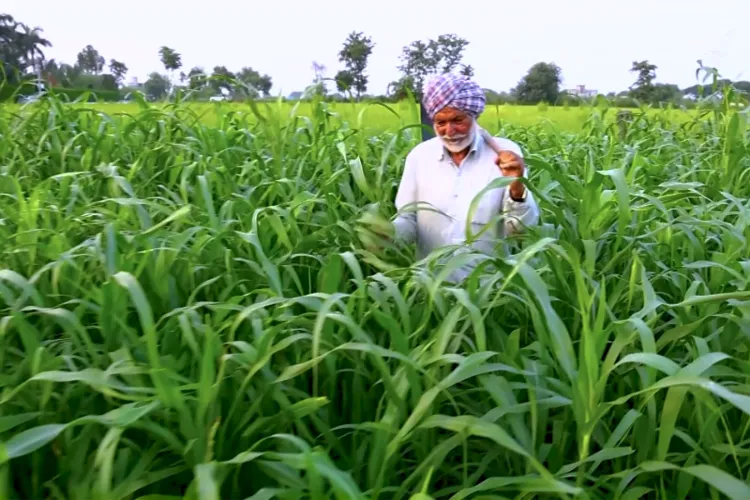 India's development journey focused on strengthening public welfare delivery 
