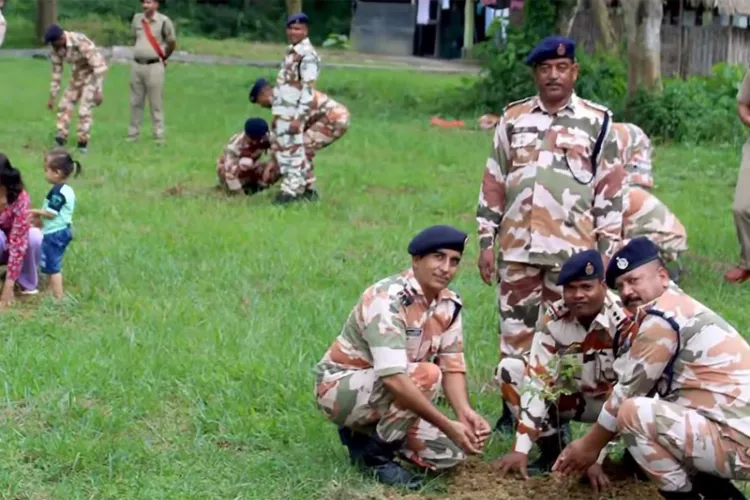 Officials planting trees on the occasion of World Environment Day 