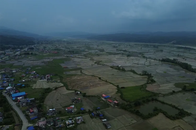 Paddy fields stretch across the landscape during Nepal's cultivation season, where meteorologists have warned of a drier monsoon ahead due to the El Niño phenomenon. 