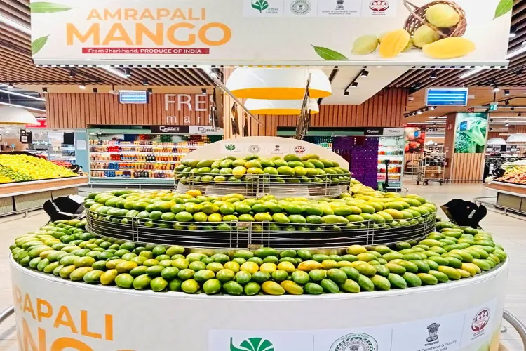Jharkhand’s Amrapali mangoes 