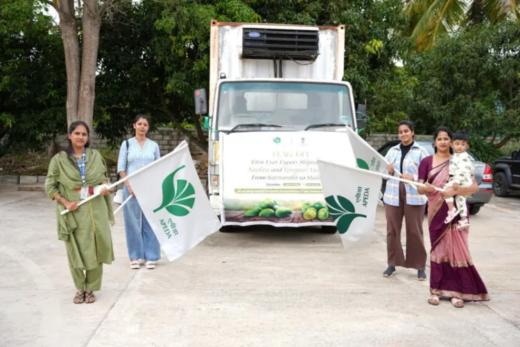 The first-ever air shipment of Neelam and Totapuri mangoes from Karnataka to the Maldives