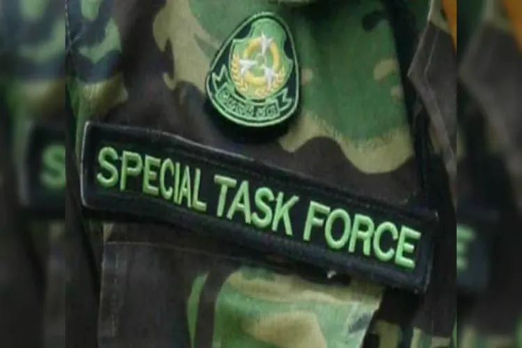 Special Task Force (STF)
