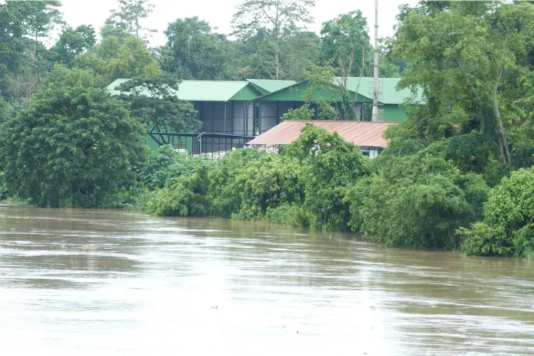 Flood affects parts of Golaghat district in Assam 