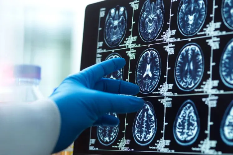 Researchers uncover brain mechanism behind learning plateaus