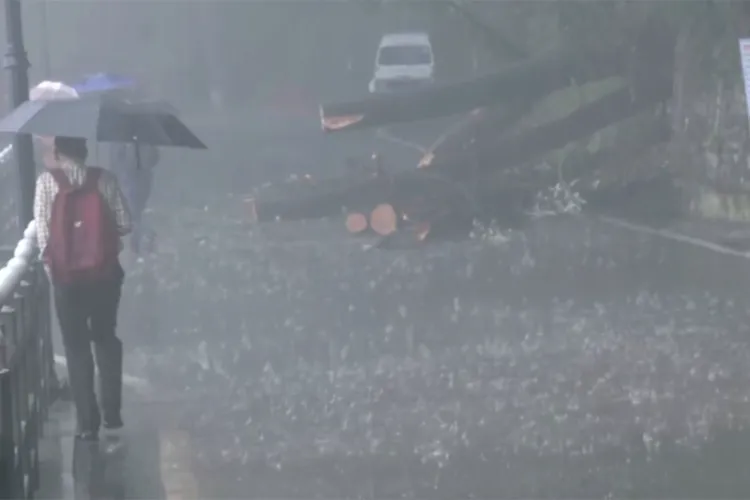 Monsoon rainfall disrupts life in Himachal Pradesh