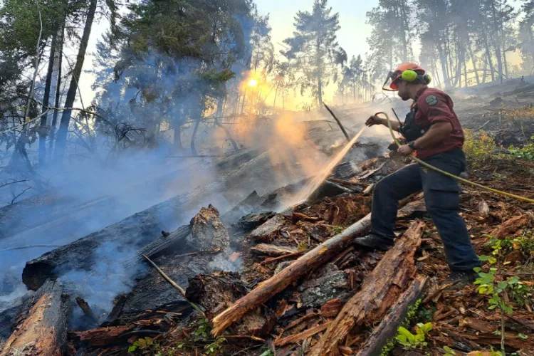 A wildland firefighter suppresses the Quilpituk Creek wildfire northwest of Kelowna, British Columbia, Canada