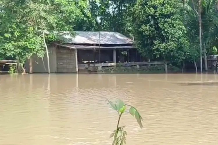 Flood situation worsens in Golaghat