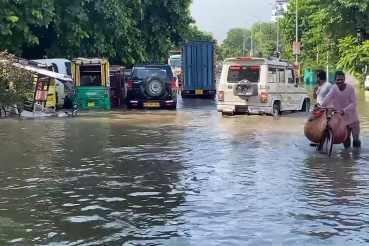 Waterlogging in Prayagraj following heavy rain 