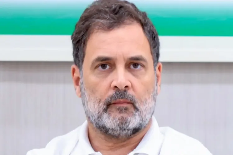  Congress MP Rahul Gandhi