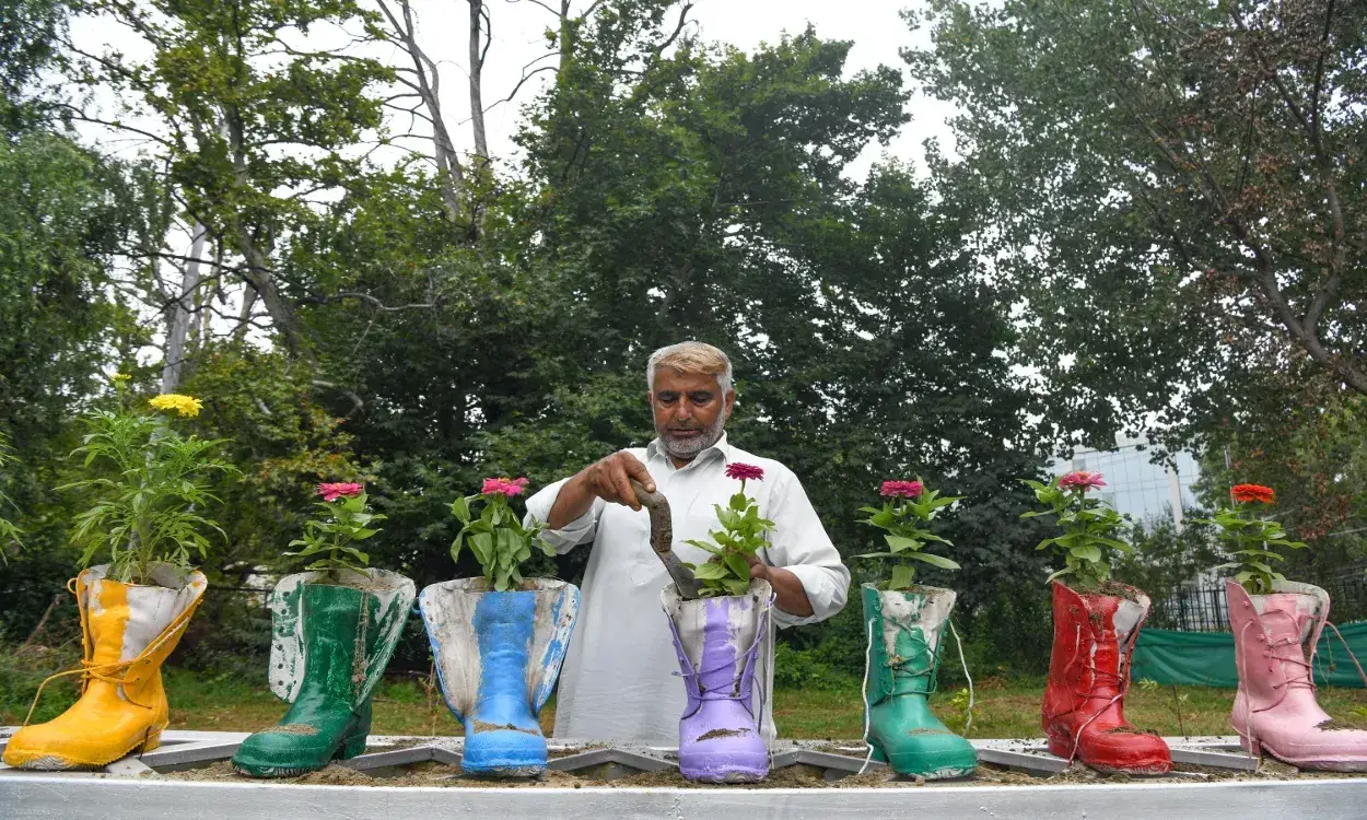 A Gardener tending to shoes turned flower pots in Srinagar (Pics by Basit Zargar)