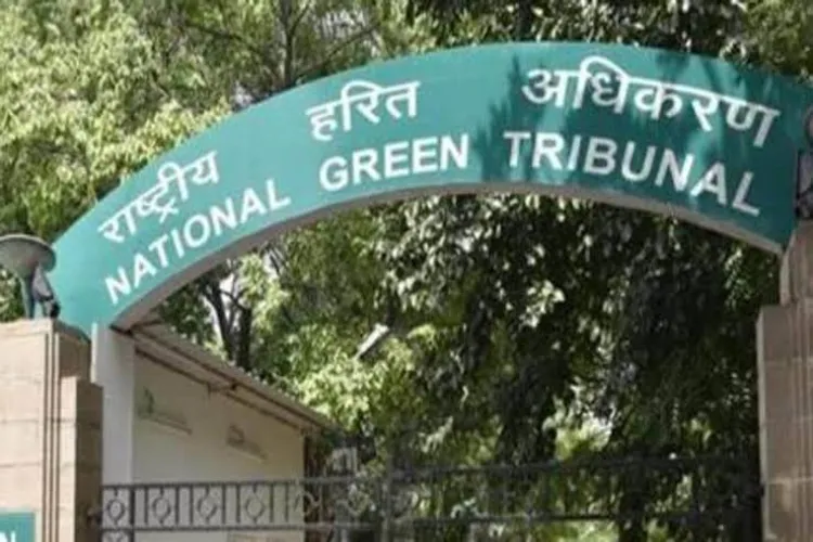 The National Green Tribunal (NGT)