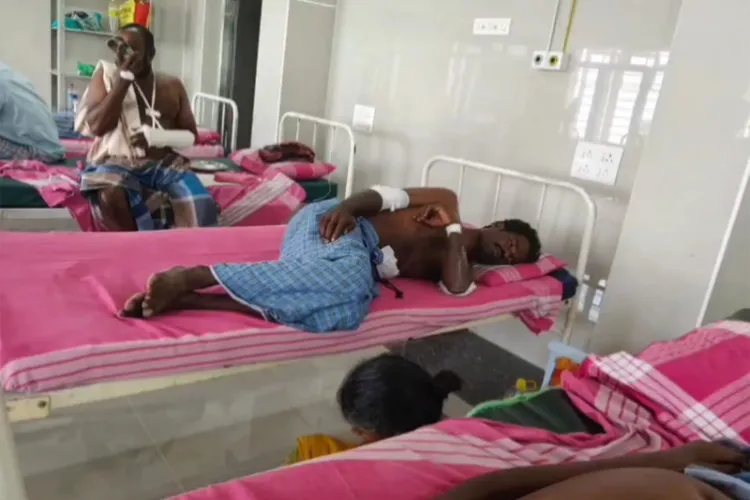 Farmers hospitalised after after sustaining injuries in a wild boar attack in Tamil Nadu