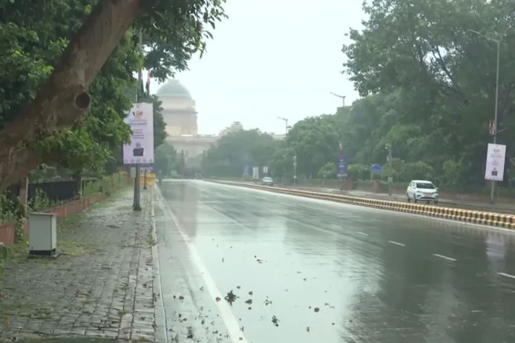 Visuals of the rain 