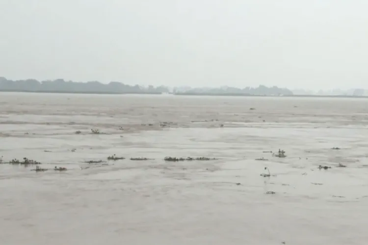 Nakta Diara area amid rising Ganga water levels in Bihar