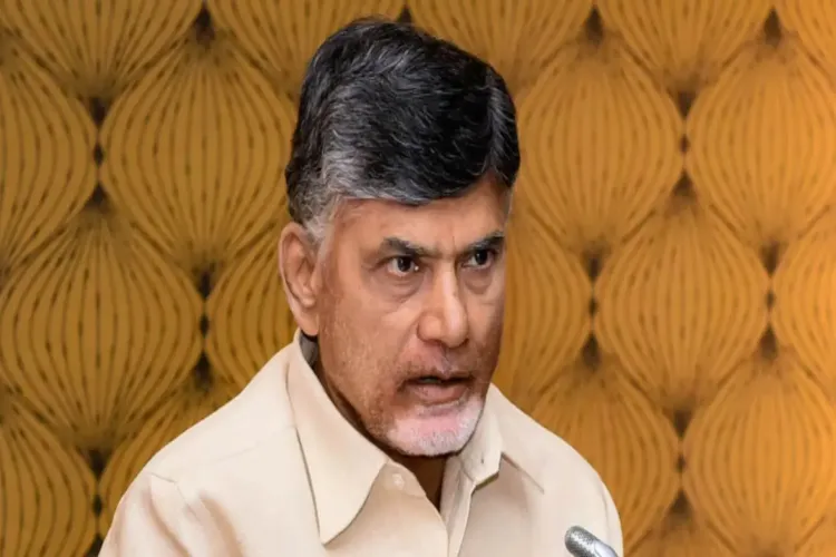 Andhra Pradesh Chief Minister N Chandrababu Naidu 