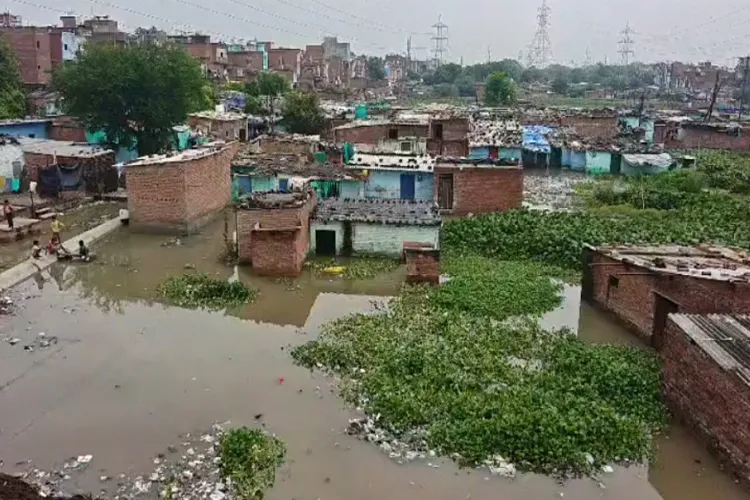 Visual from Kanpur 