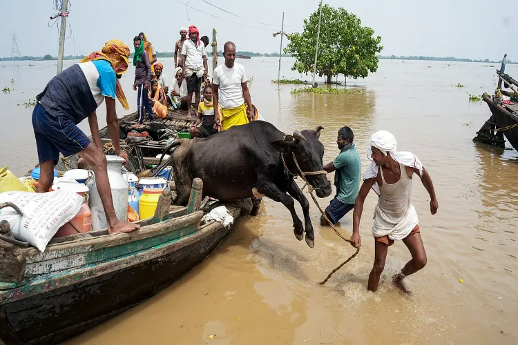 Visuals from Bihar