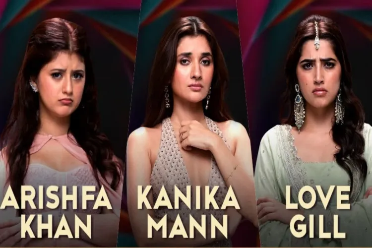 Big Boss 20 contestent,Arishfa Khan,Kanika Mann and Love Gill 