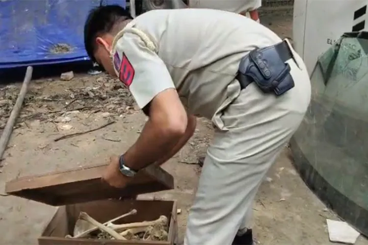 Skeleton-like object found during cleanliness drive in Delhi