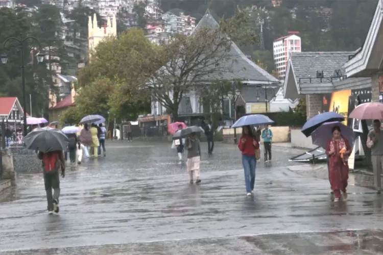 Shimla Rainfall