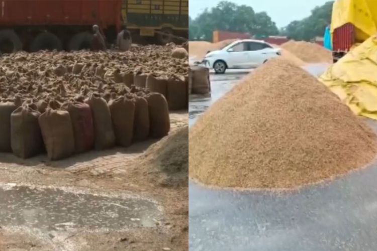 Grains out in open after heavy rain in Amritsar (L) and Narela (R) 