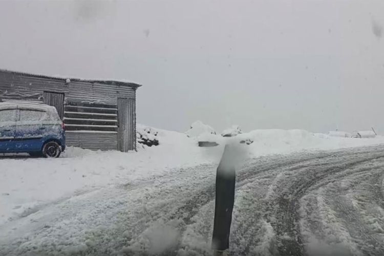 Snowfall in higher reaches of Himachal Pradesh 