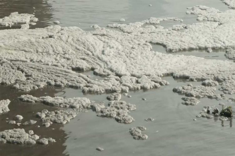 Toxic foam floating on the surface of the Yamuna River at Kalindi Kunj 