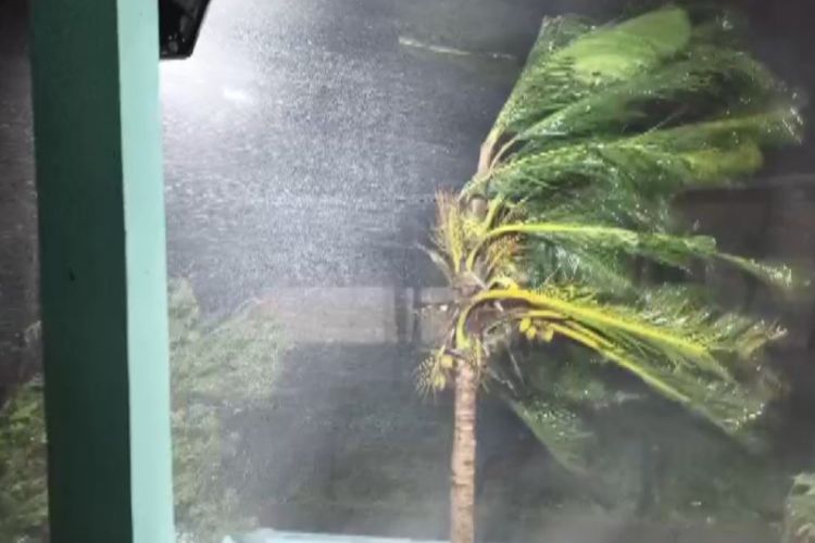 Visuals from Konaseema district, Andhra Pradesh show the impact of strong winds