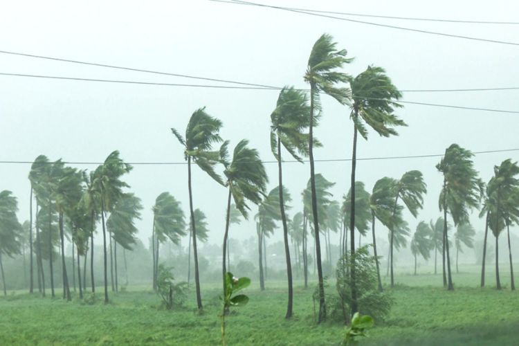 Cyclone Arnab brings fierce winds in Andhra Pradesh