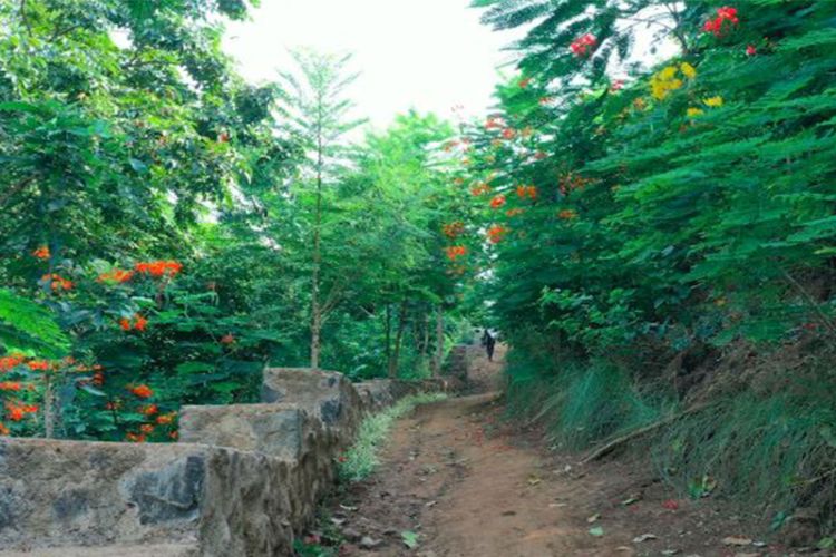2.62-km forest eco-trail