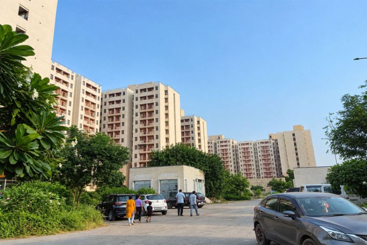 Representational Image