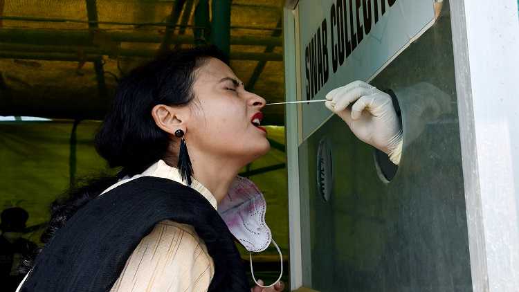 Swab sample for the Covid-19 testing