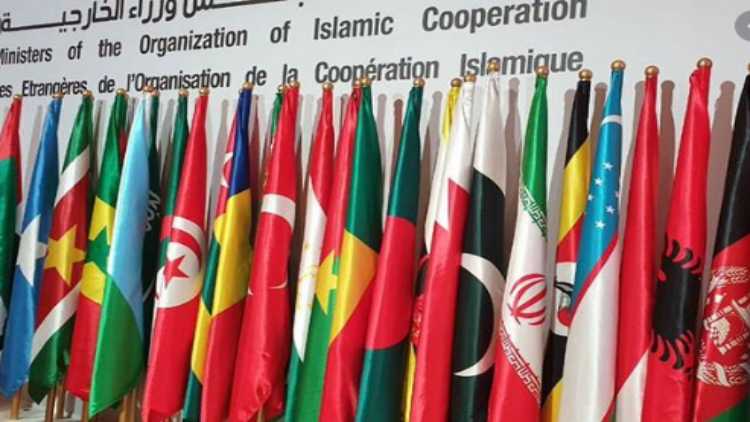 OIC countries flags