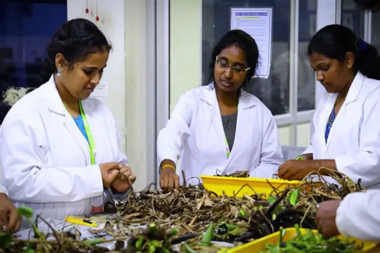 Ecologist demonstrates making paper from water hyacinth in Tiruchirappalli