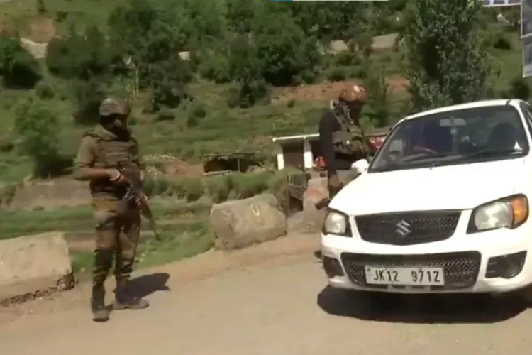 An intensive search was carried out in dense Dorimal forests 