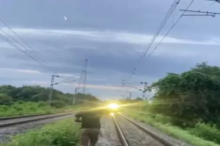 Rajdhani Express halted in Hojai to allow elephant herd to cross railway track safely